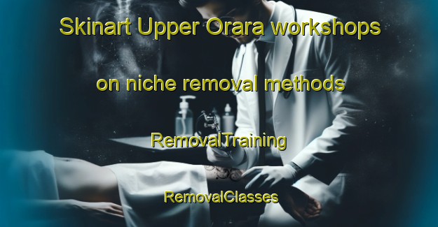 Skinart Upper Orara workshops on niche removal methods | RemovalTraining | RemovalClasses | SkinartTraining-Australia