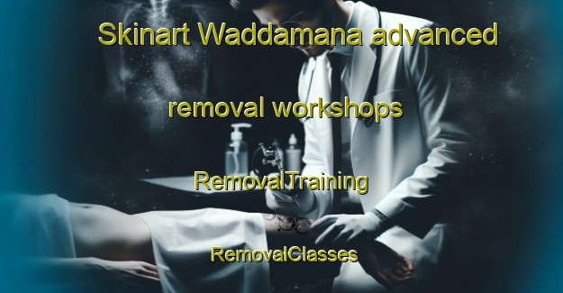 Skinart Waddamana advanced removal workshops | RemovalTraining | RemovalClasses | SkinartTraining-Australia