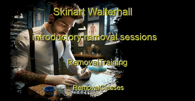 Skinart Walterhall introductory removal sessions | RemovalTraining | RemovalClasses | SkinartTraining-Australia