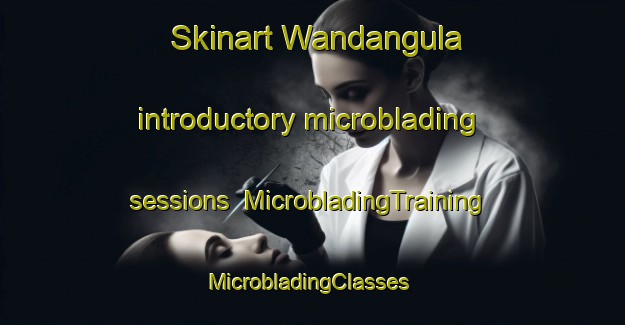 Skinart Wandangula introductory microblading sessions | MicrobladingTraining | MicrobladingClasses | SkinartTraining-Australia
