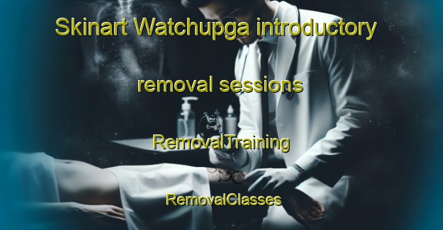 Skinart Watchupga introductory removal sessions | RemovalTraining | RemovalClasses | SkinartTraining-Australia