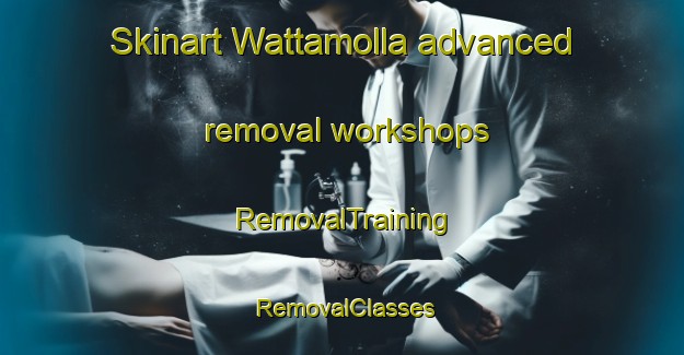 Skinart Wattamolla advanced removal workshops | RemovalTraining | RemovalClasses | SkinartTraining-Australia