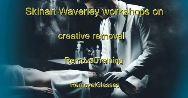 Skinart Waverley workshops on creative removal | RemovalTraining | RemovalClasses | SkinartTraining-Australia