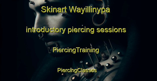 Skinart Wayillinypa introductory piercing sessions | PiercingTraining | PiercingClasses | SkinartTraining-Australia