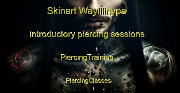 Skinart Wayillinypa introductory piercing sessions | PiercingTraining | PiercingClasses | SkinartTraining-Australia