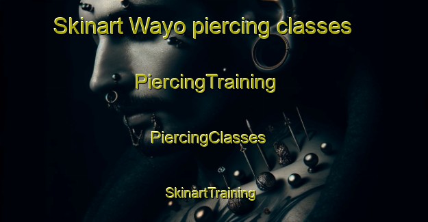 Skinart Wayo piercing classes | PiercingTraining | PiercingClasses | SkinartTraining-Australia