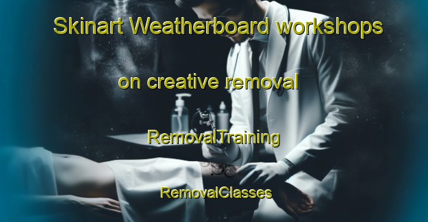 Skinart Weatherboard workshops on creative removal | RemovalTraining | RemovalClasses | SkinartTraining-Australia