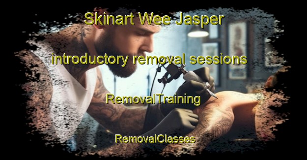 Skinart Wee Jasper introductory removal sessions | RemovalTraining | RemovalClasses | SkinartTraining-Australia