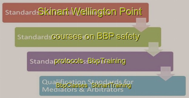 Skinart Wellington Point courses on BBP safety protocols | BbpTraining | BbpClasses | SkinartTraining-Australia