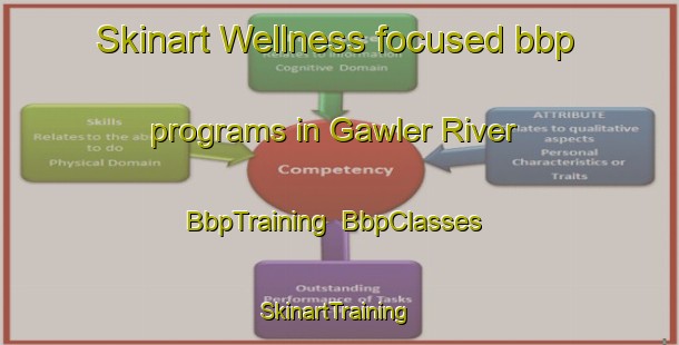 Skinart Wellness-focused bbp programs in Gawler River | BbpTraining | BbpClasses | SkinartTraining-Australia
