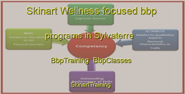 Skinart Wellness-focused bbp programs in Sylvaterre | BbpTraining | BbpClasses | SkinartTraining-Australia