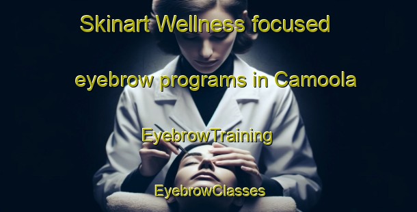 Skinart Wellness-focused eyebrow programs in Camoola | EyebrowTraining | EyebrowClasses | SkinartTraining-Australia