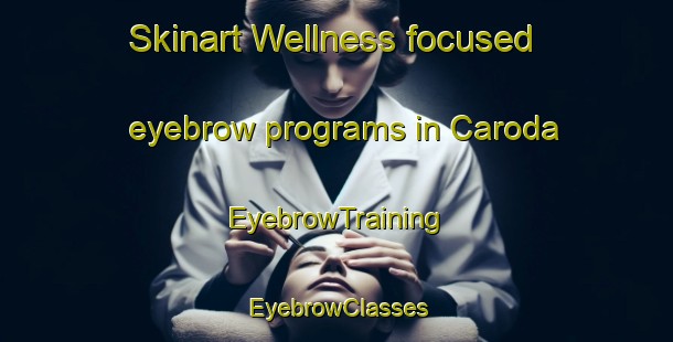 Skinart Wellness-focused eyebrow programs in Caroda | EyebrowTraining | EyebrowClasses | SkinartTraining-Australia
