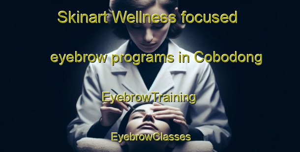 Skinart Wellness-focused eyebrow programs in Cobodong | EyebrowTraining | EyebrowClasses | SkinartTraining-Australia