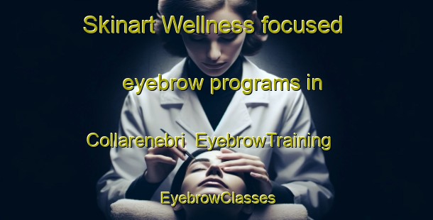 Skinart Wellness-focused eyebrow programs in Collarenebri | EyebrowTraining | EyebrowClasses | SkinartTraining-Australia