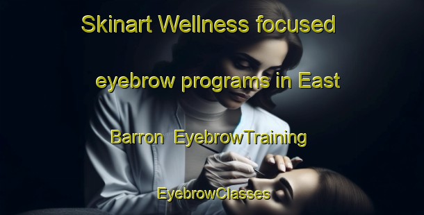 Skinart Wellness-focused eyebrow programs in East Barron | EyebrowTraining | EyebrowClasses | SkinartTraining-Australia