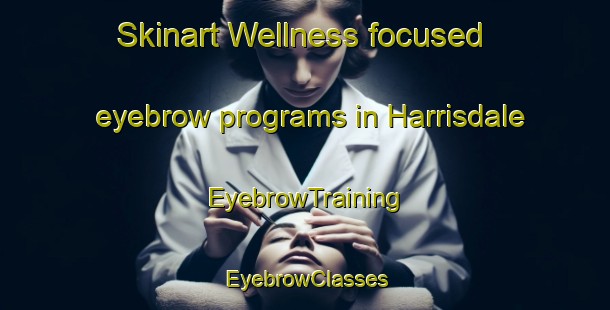 Skinart Wellness-focused eyebrow programs in Harrisdale | EyebrowTraining | EyebrowClasses | SkinartTraining-Australia