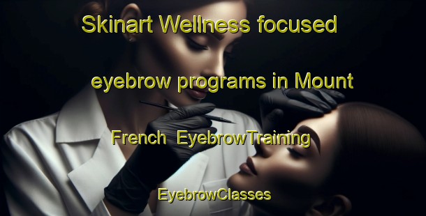 Skinart Wellness-focused eyebrow programs in Mount French | EyebrowTraining | EyebrowClasses | SkinartTraining-Australia
