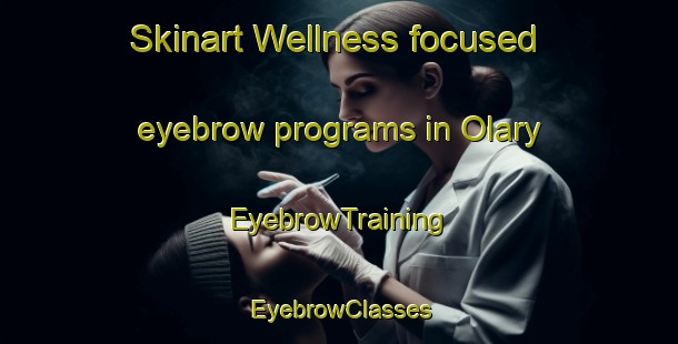 Skinart Wellness-focused eyebrow programs in Olary | EyebrowTraining | EyebrowClasses | SkinartTraining-Australia