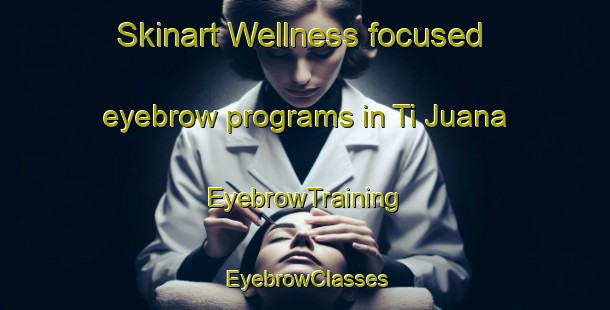 Skinart Wellness-focused eyebrow programs in Ti Juana | EyebrowTraining | EyebrowClasses | SkinartTraining-Australia