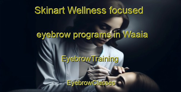 Skinart Wellness-focused eyebrow programs in Waaia | EyebrowTraining | EyebrowClasses | SkinartTraining-Australia