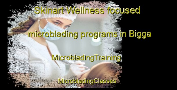 Skinart Wellness-focused microblading programs in Bigga | MicrobladingTraining | MicrobladingClasses | SkinartTraining-Australia