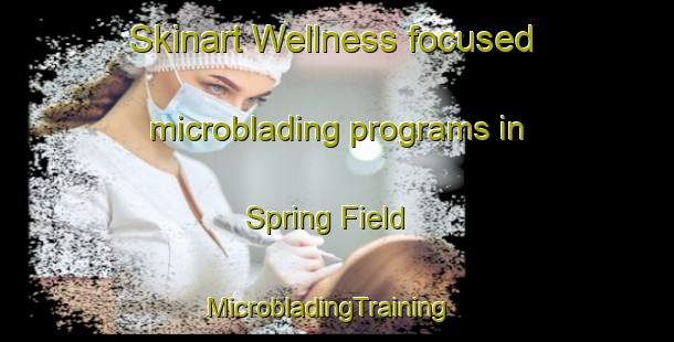 Skinart Wellness-focused microblading programs in Spring Field | MicrobladingTraining | MicrobladingClasses | SkinartTraining-Australia