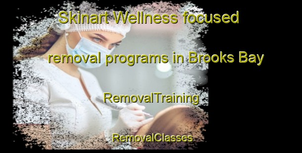Skinart Wellness-focused removal programs in Brooks Bay | RemovalTraining | RemovalClasses | SkinartTraining-Australia