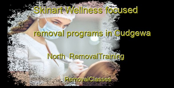 Skinart Wellness-focused removal programs in Cudgewa North | RemovalTraining | RemovalClasses | SkinartTraining-Australia