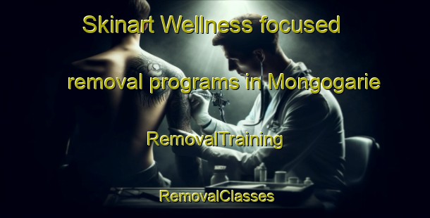 Skinart Wellness-focused removal programs in Mongogarie | RemovalTraining | RemovalClasses | SkinartTraining-Australia