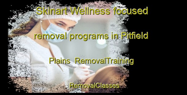 Skinart Wellness-focused removal programs in Pitfield Plains | RemovalTraining | RemovalClasses | SkinartTraining-Australia