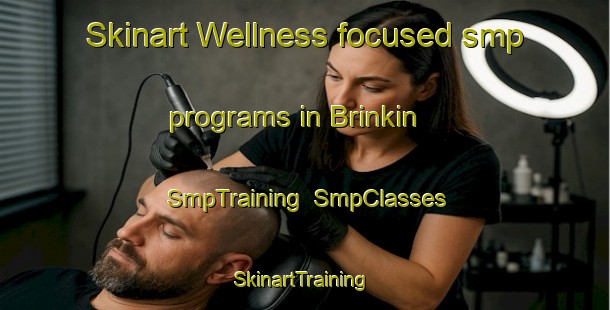 Skinart Wellness-focused smp programs in Brinkin | SmpTraining | SmpClasses | SkinartTraining-Australia