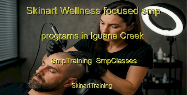 Skinart Wellness-focused smp programs in Iguana Creek | SmpTraining | SmpClasses | SkinartTraining-Australia