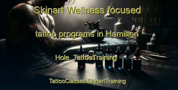 Skinart Wellness-focused tattoo programs in Hamilton Hole | #TattooTraining #TattooClasses #SkinartTraining-Australia