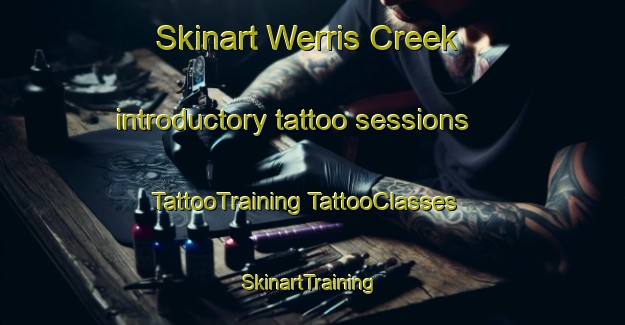 Skinart Werris Creek introductory tattoo sessions | #TattooTraining #TattooClasses #SkinartTraining-Australia