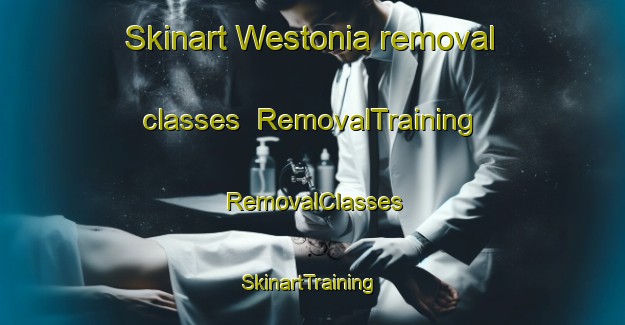Skinart Westonia removal classes | RemovalTraining | RemovalClasses | SkinartTraining-Australia