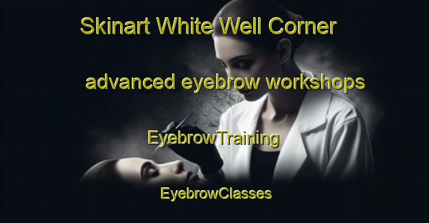 Skinart White Well Corner advanced eyebrow workshops | EyebrowTraining | EyebrowClasses | SkinartTraining-Australia