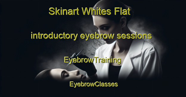 Skinart Whites Flat introductory eyebrow sessions | EyebrowTraining | EyebrowClasses | SkinartTraining-Australia