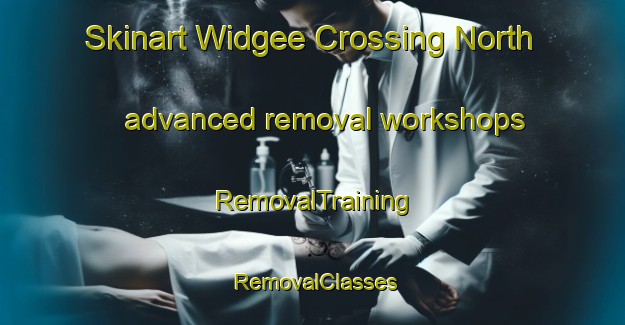 Skinart Widgee Crossing North advanced removal workshops | RemovalTraining | RemovalClasses | SkinartTraining-Australia