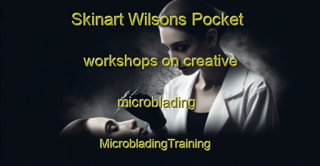 Skinart Wilsons Pocket workshops on creative microblading | MicrobladingTraining | MicrobladingClasses | SkinartTraining-Australia