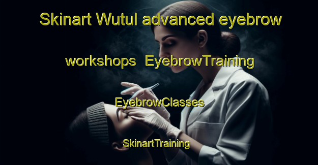Skinart Wutul advanced eyebrow workshops | EyebrowTraining | EyebrowClasses | SkinartTraining-Australia
