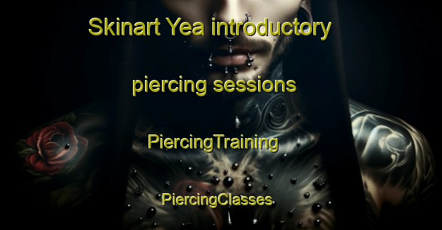 Skinart Yea introductory piercing sessions | PiercingTraining | PiercingClasses | SkinartTraining-Australia